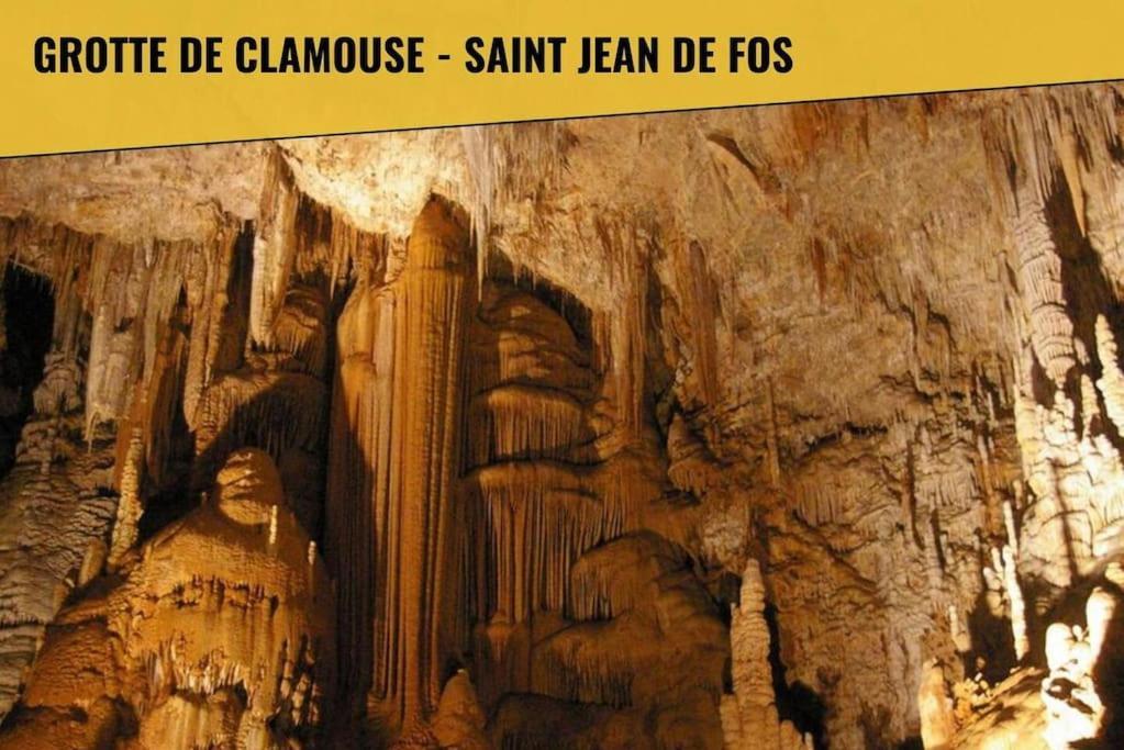 Apartament Le Moliere - Enigme Et Sauna Pézenas Zewnętrze zdjęcie
