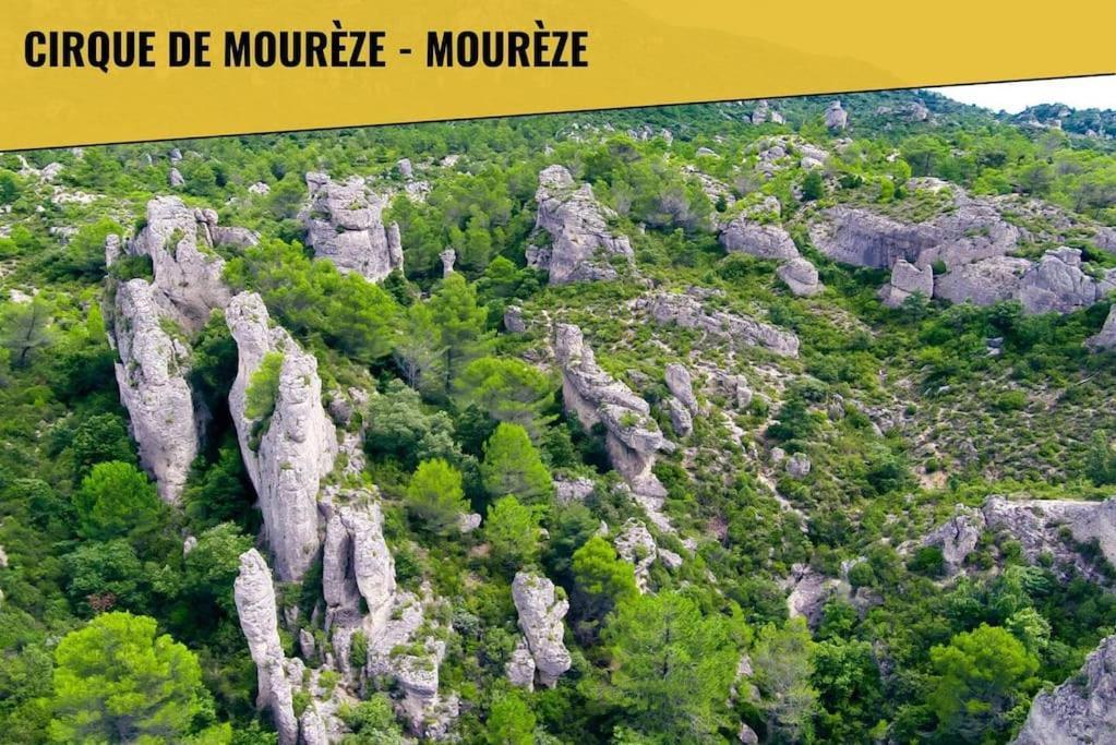 Apartament Le Moliere - Enigme Et Sauna Pézenas Zewnętrze zdjęcie